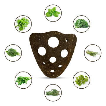 Herb Stripper Tool – Coconut Shell, 9 Hole Leaf Stripper